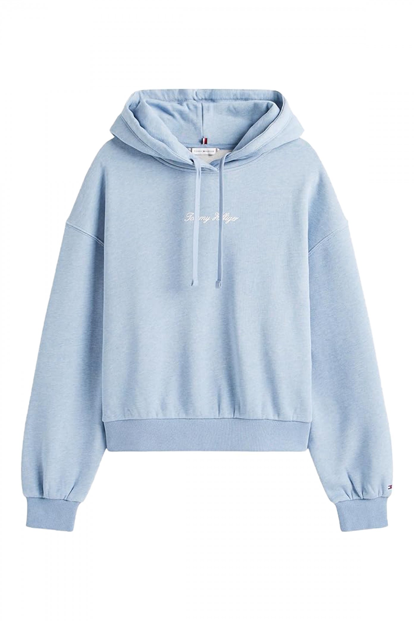 TOMMY HILFIGER CLASSIC SCRIPT FLEECE HO en color AZUL (2)