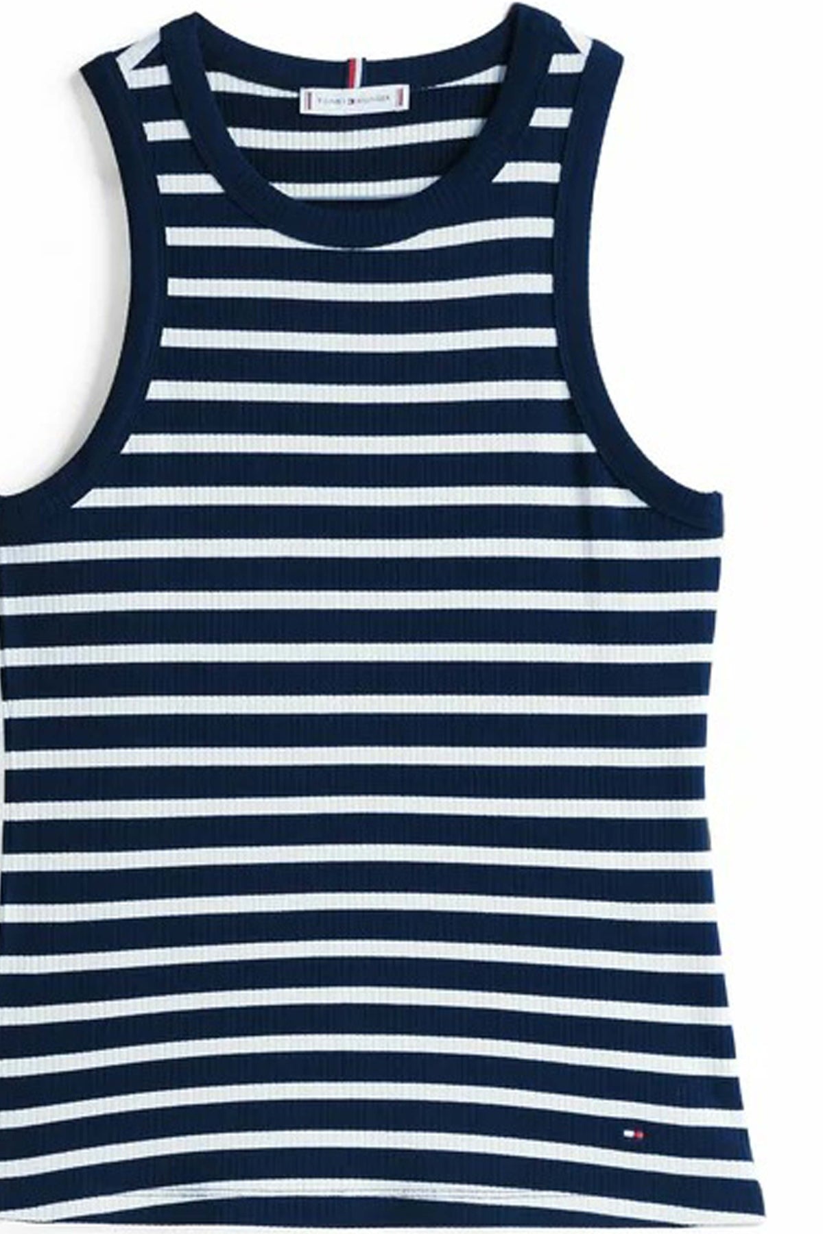 TOMMY HILFIGER WWWW en color AZUL (3)