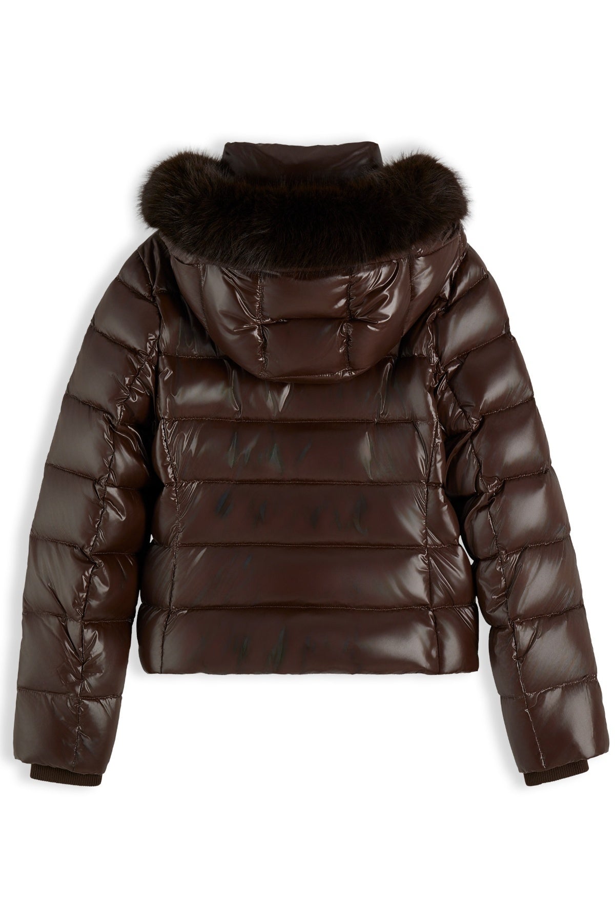 TOMMY HILFIGER WWWW GLOSS DOWN FITTED JACKET en color (2)