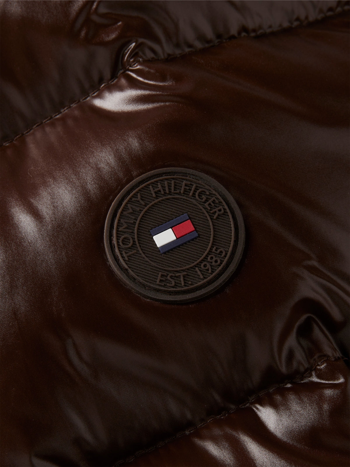 TOMMY HILFIGER WWWW GLOSS DOWN FITTED JACKET en color (5)