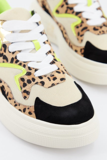 MOVIE'S F A en color ANIMAL PRINT (2)