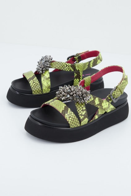 NIGELLA en color ANIMAL PRINT (1)
