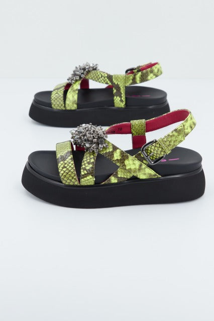 NIGELLA en color ANIMAL PRINT (3)