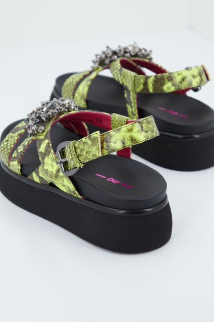 NIGELLA en color ANIMAL PRINT (4)