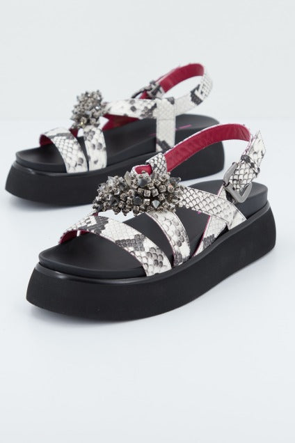NIGELLA en color ANIMAL PRINT (1)