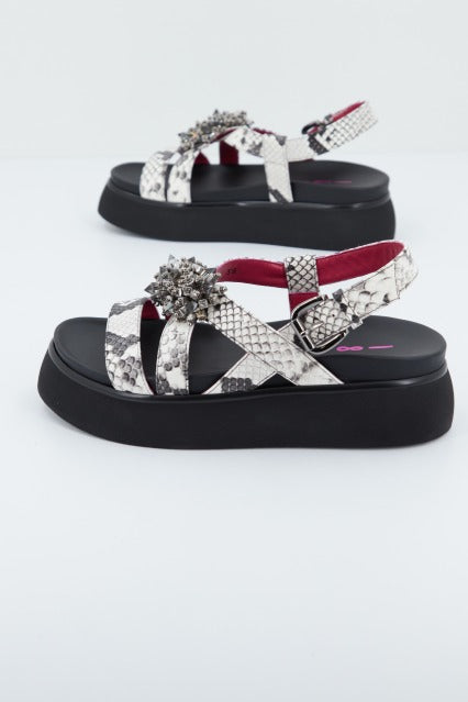 NIGELLA en color ANIMAL PRINT (3)