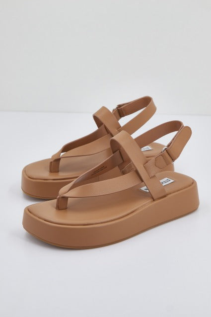 STEVE MADDEN BIGTIME en color MARRON CLARO (1)