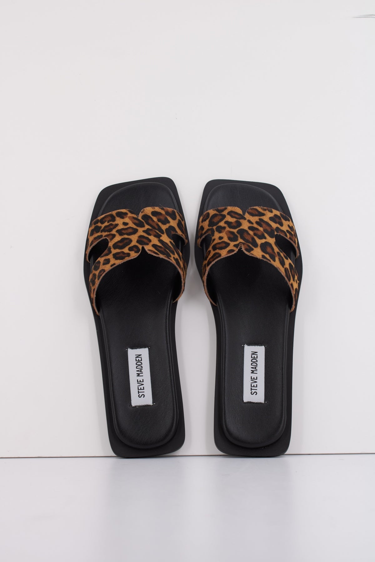 STEVE MADDEN SOFIA-L en color ANIMAL PRINT (3)