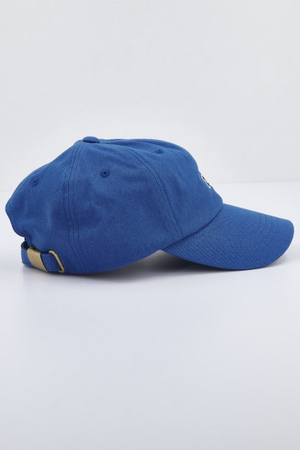 VANS VANS CURVED BILL JO en color AZUL (2)