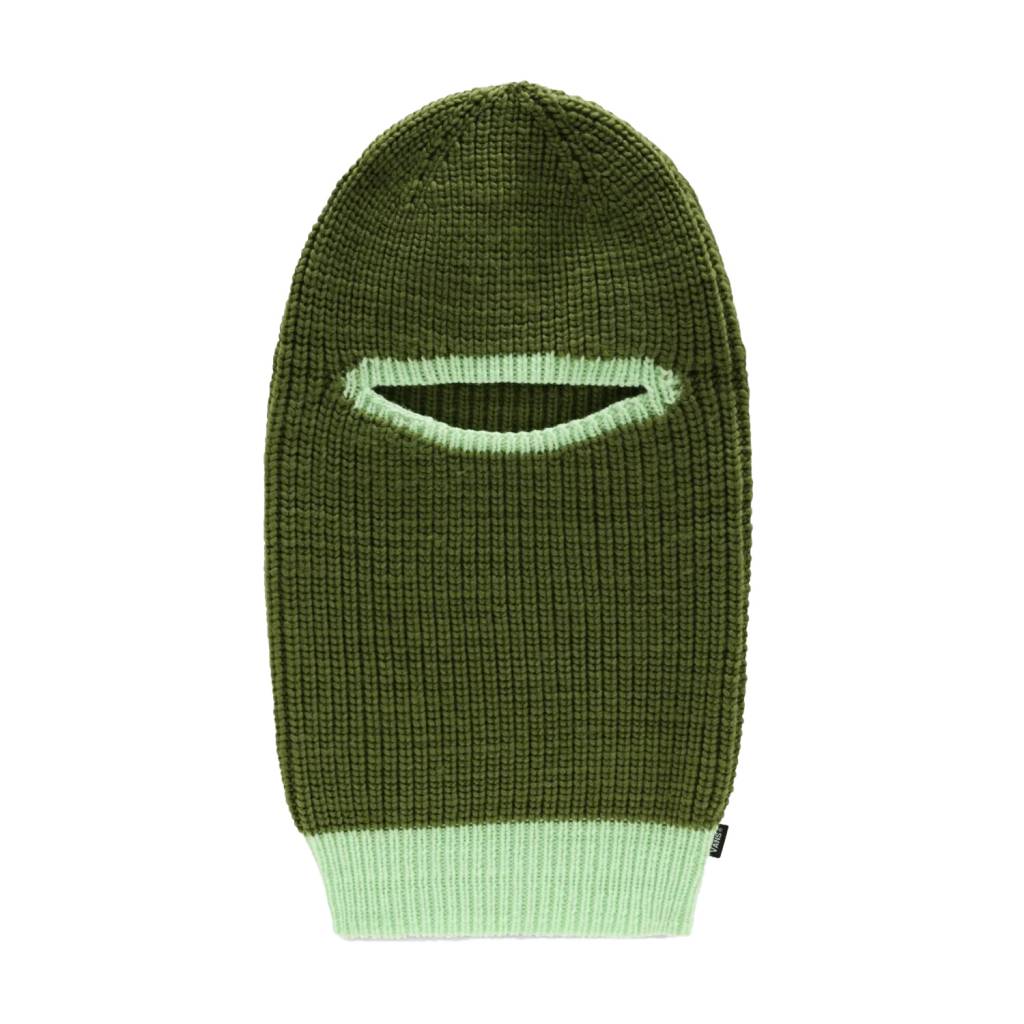 VANS FULLY COVERED BC en color VERDE (3)