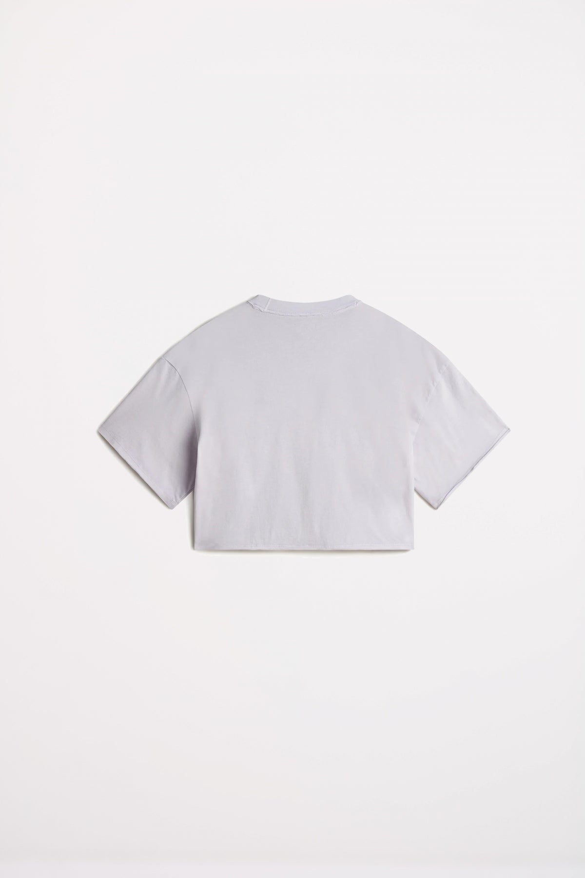VANS RELAXED CROP WASH SS T en color GRIS (3)