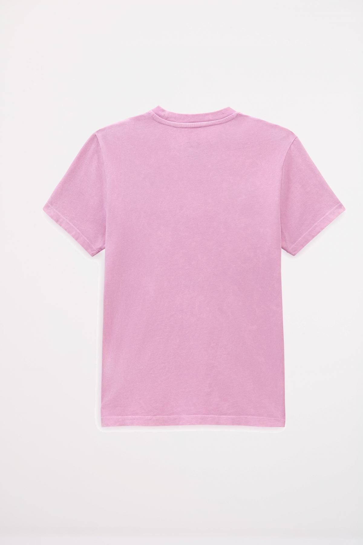 VANS SPELLBOUND BFF en color ROSA (2)