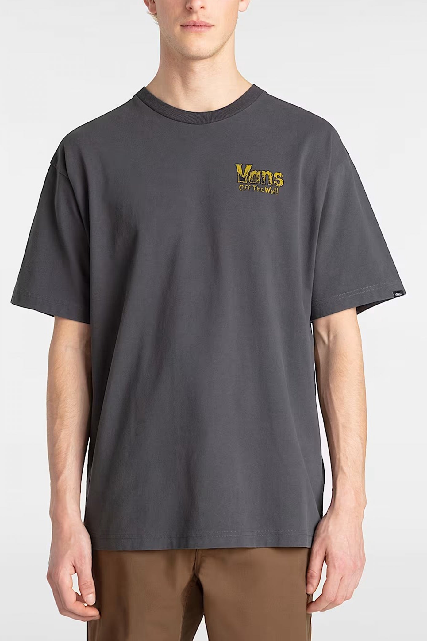 VANS LEGACY LOOSE SS en color GRIS (1)