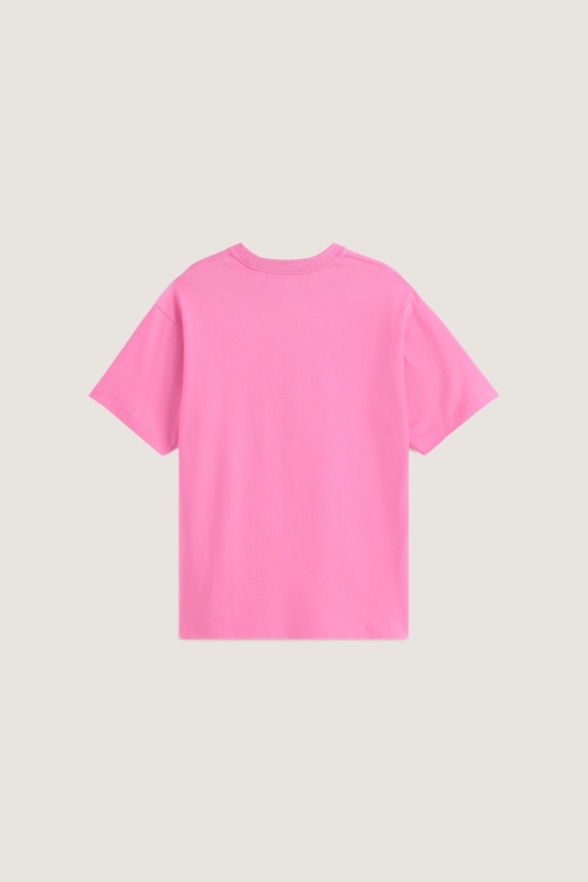 VANS VNPPFRQ en color ROSA (2)