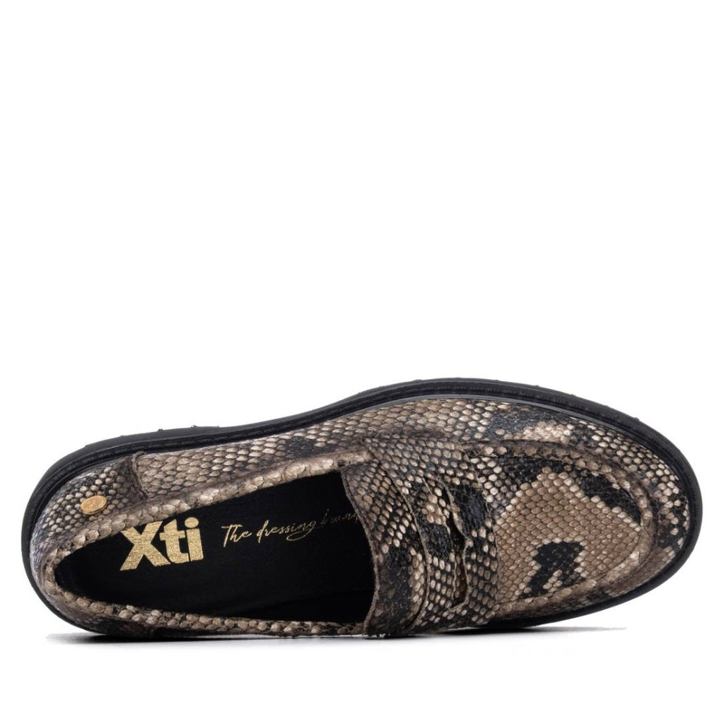 XTI en color ANIMAL PRINT (5)