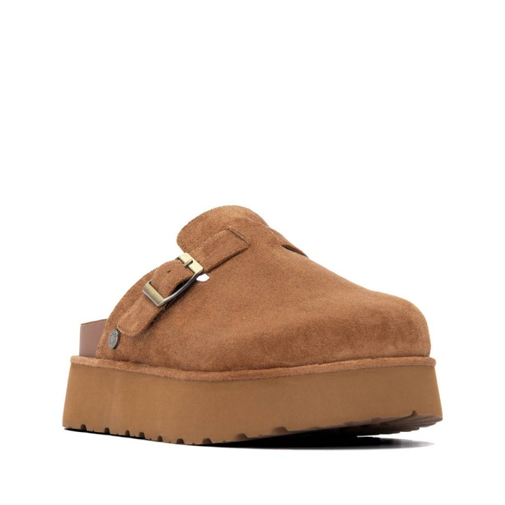 REFRESH  en color MARRON  (1)