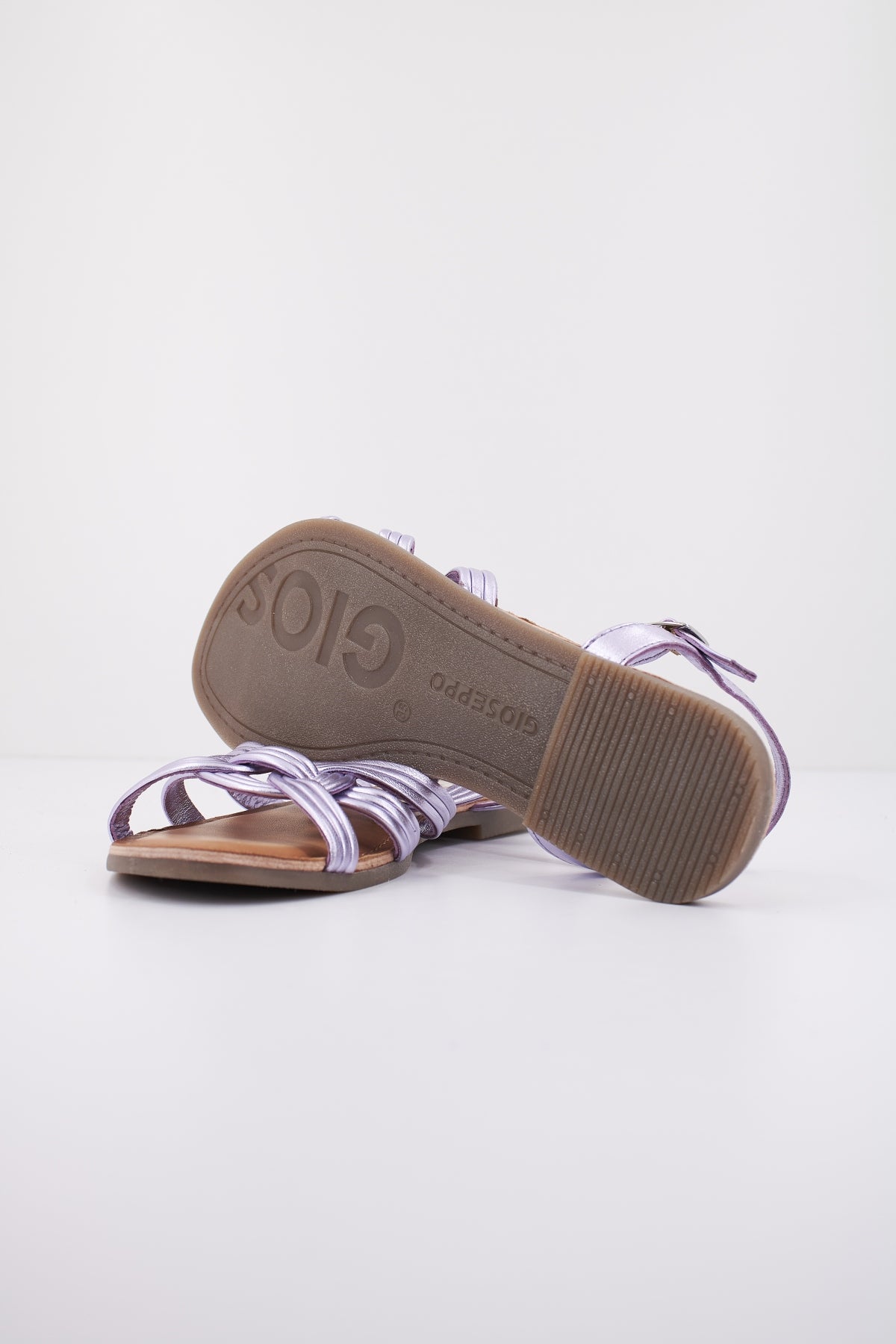 GIOSEPPO GOLAJ en color VIOLETA  (4)