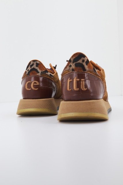 CETTI CSWE en color MARRON  (3)
