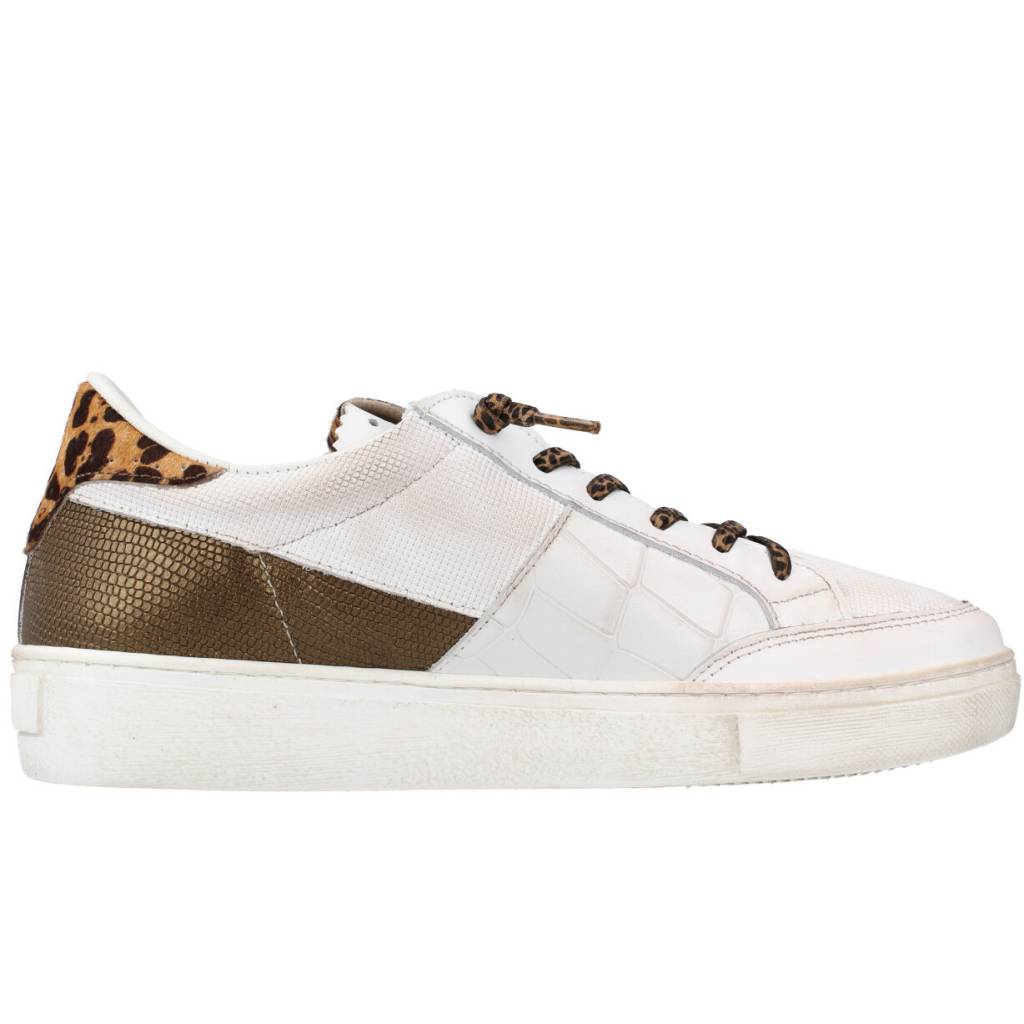 CETTI CDIRTY en color BLANCO  (4)