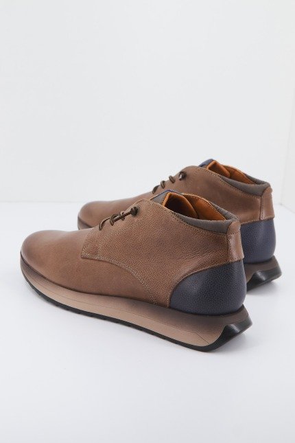 CETTI C en color MARRON  (2)