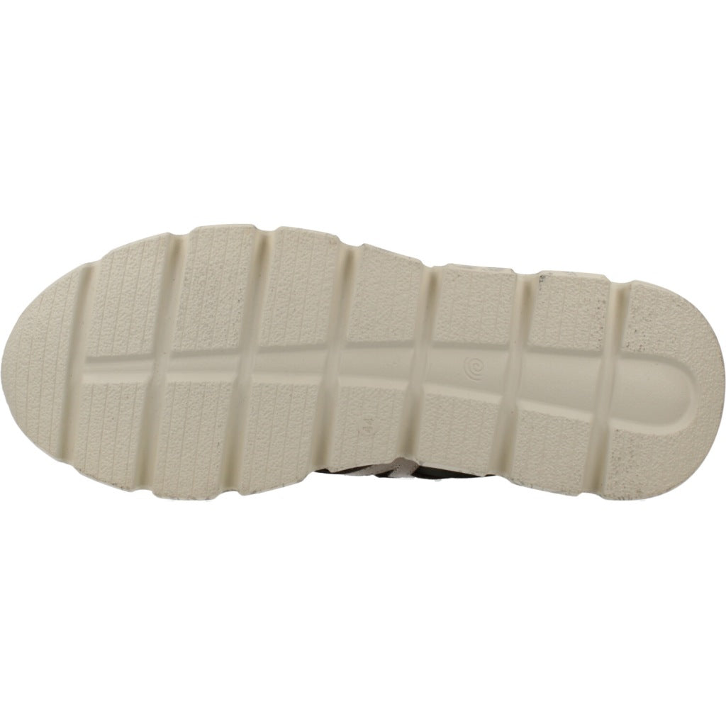 CETTI C XL V en color VERDE  (6)