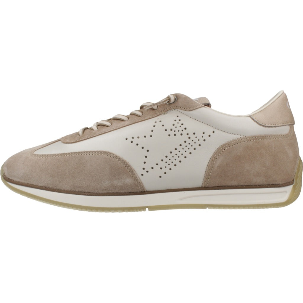CETTI C V en color MARRON  (2)