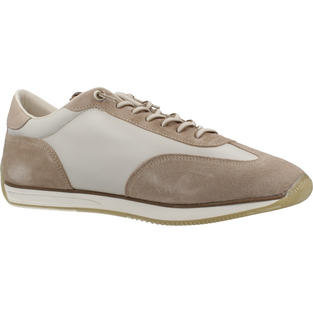CETTI C V en color MARRON  (5)