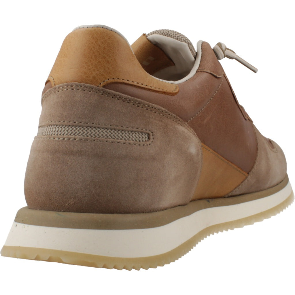 CETTI C V en color MARRON  (3)