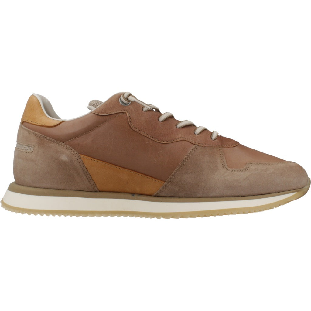 CETTI C V en color MARRON  (4)