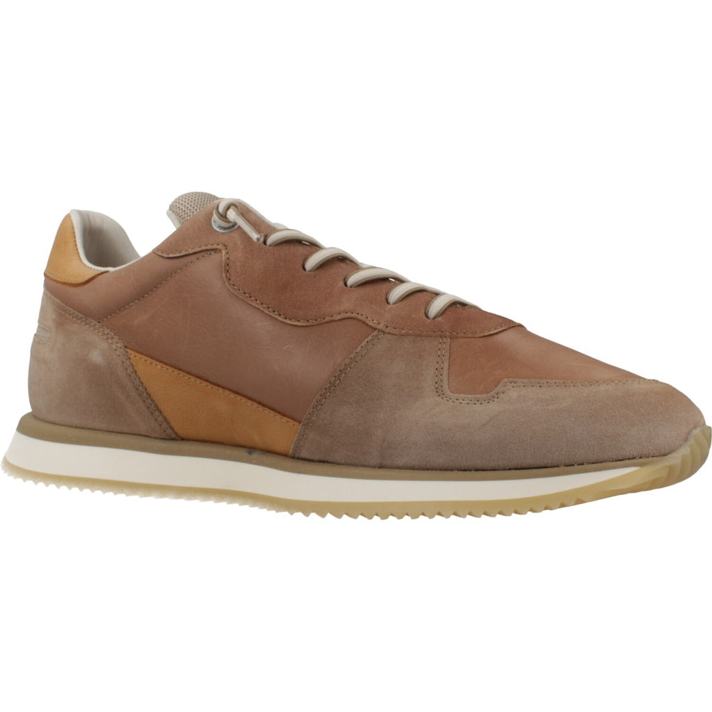 CETTI C V en color MARRON  (5)