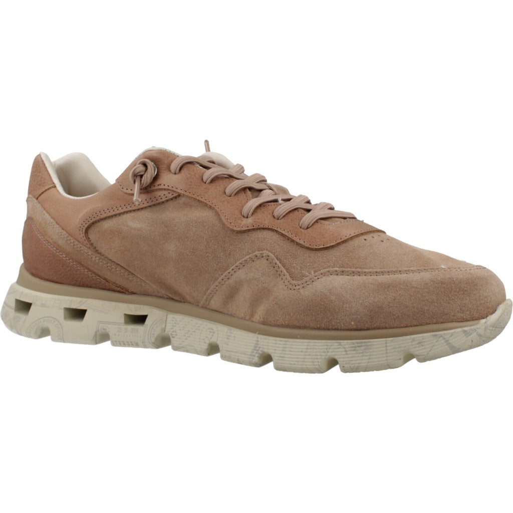 CETTI C V en color MARRON  (5)
