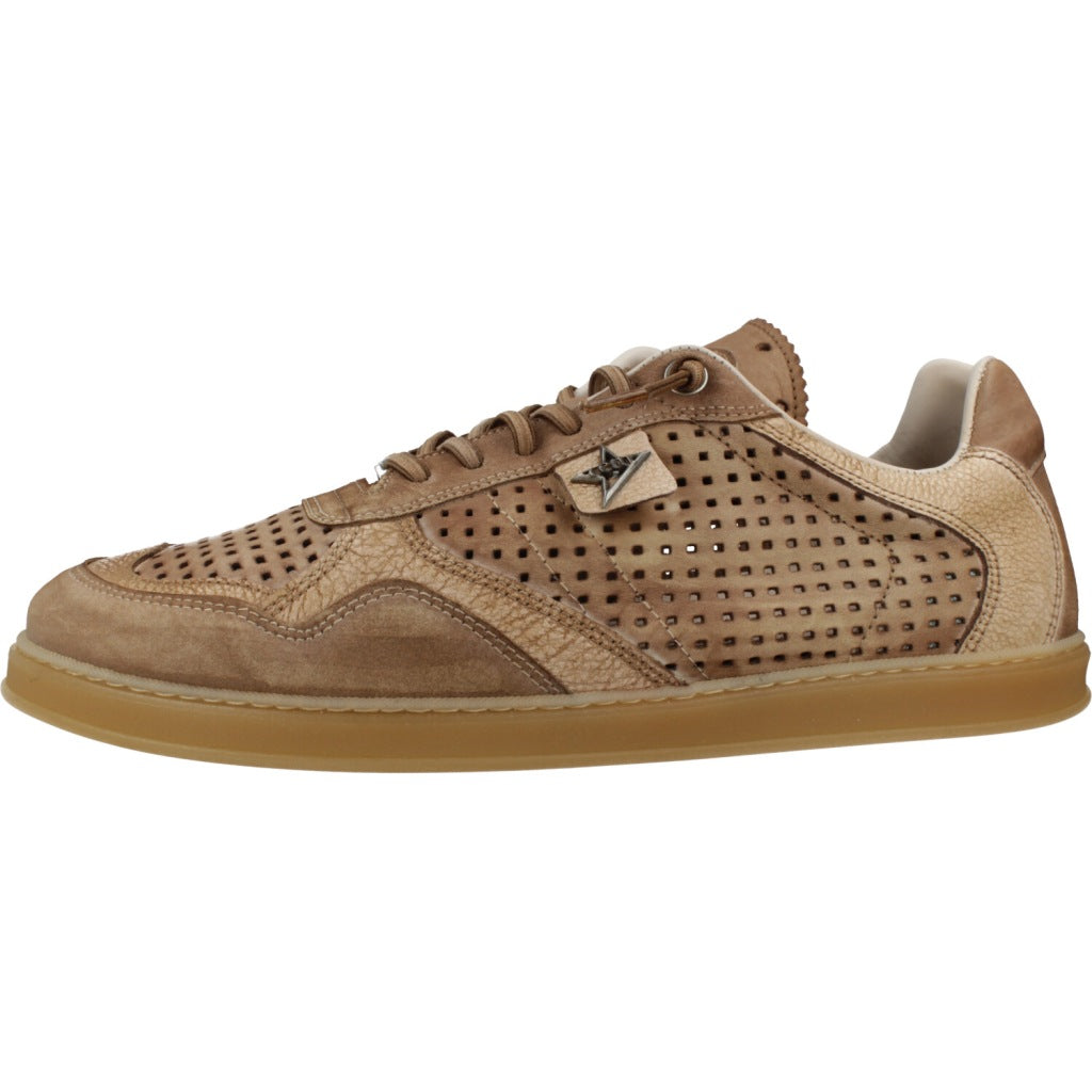 CETTI C  en color MARRON  (2)