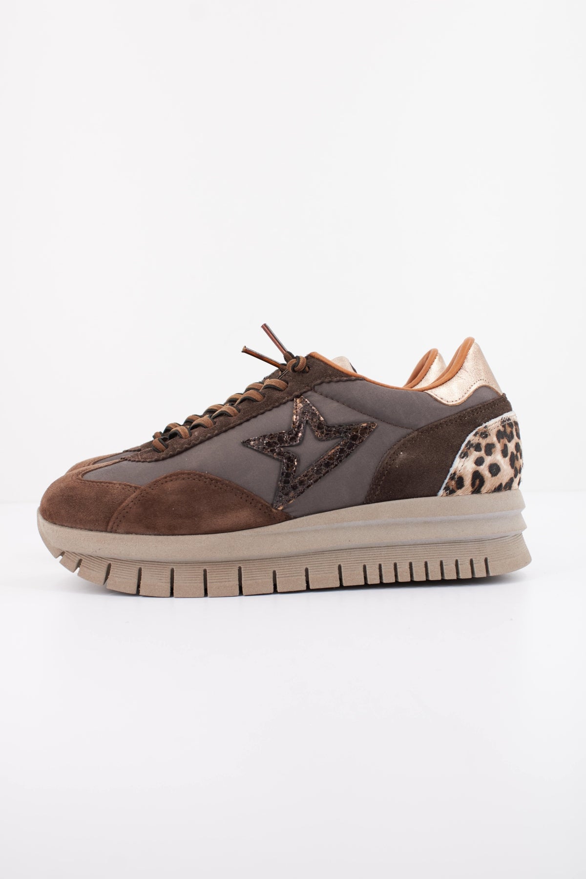CETTI C XL INV en color MARRON  (1)