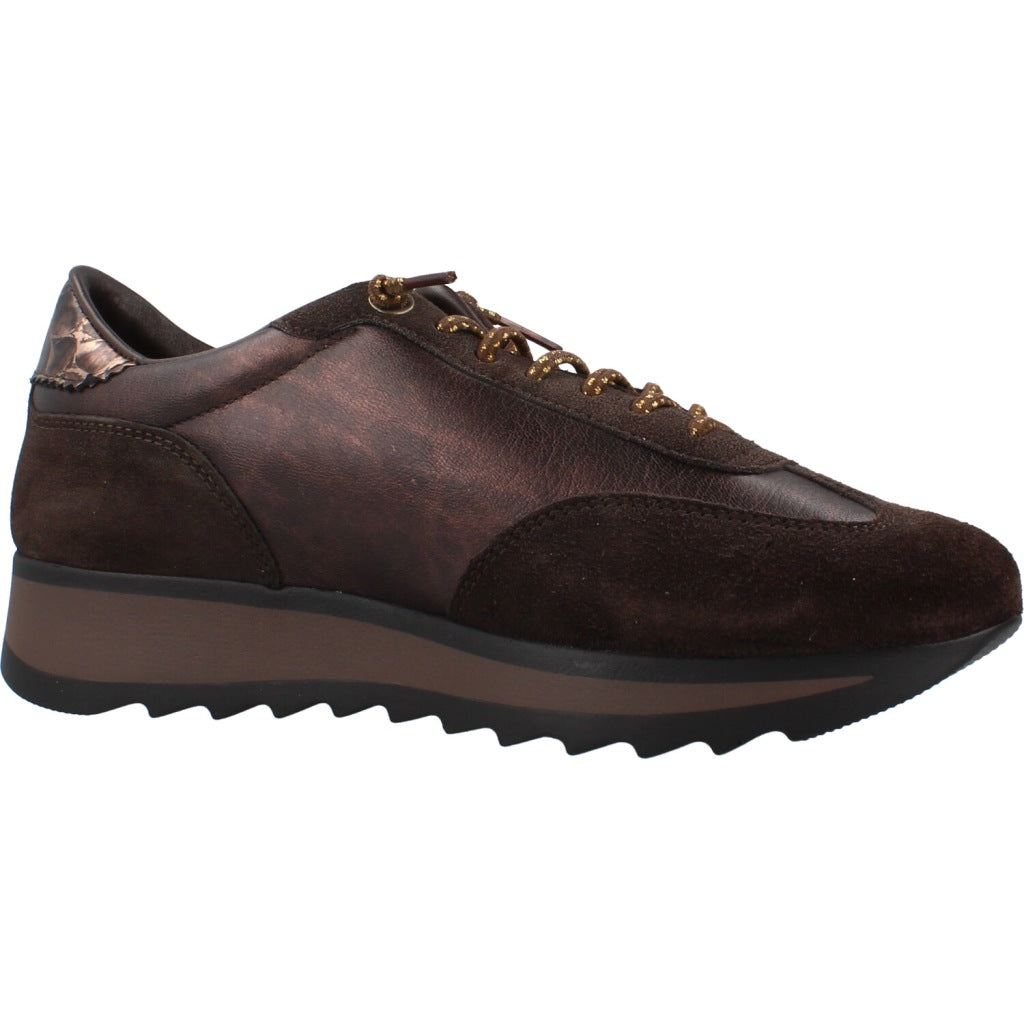 CETTI CSRA INV DEPORTIVO METAL ANTE en color MARRON  (5)