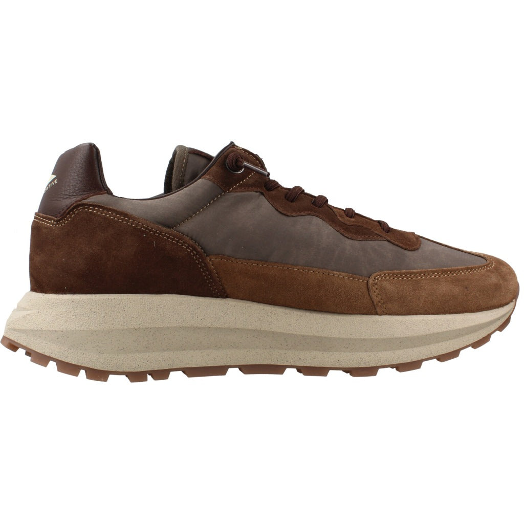 CETTI C INV en color MARRON  (4)