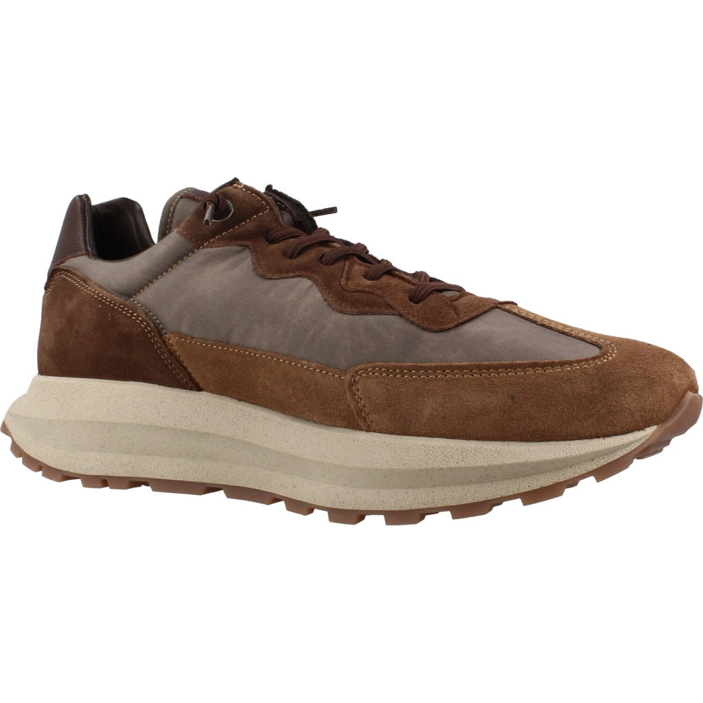 CETTI C INV en color MARRON  (5)