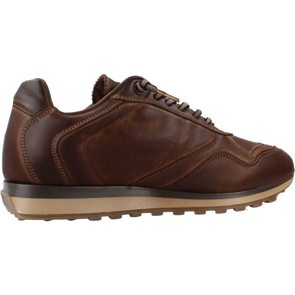 CETTI C INV DEPORTIVO NATURE TIN en color MARRON  (4)