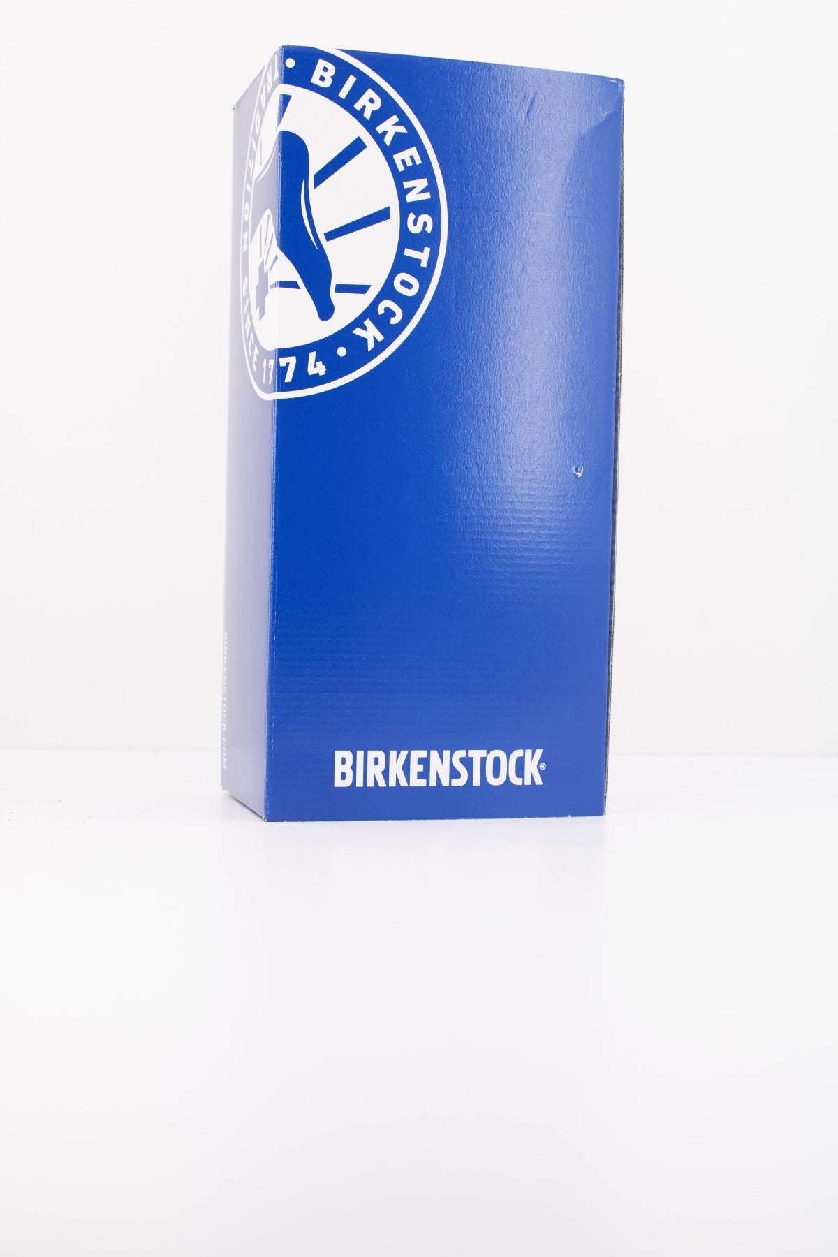 BIRKENSTOCK MADRID BIG BUCKLE NATURAL en color VERDE  (6)