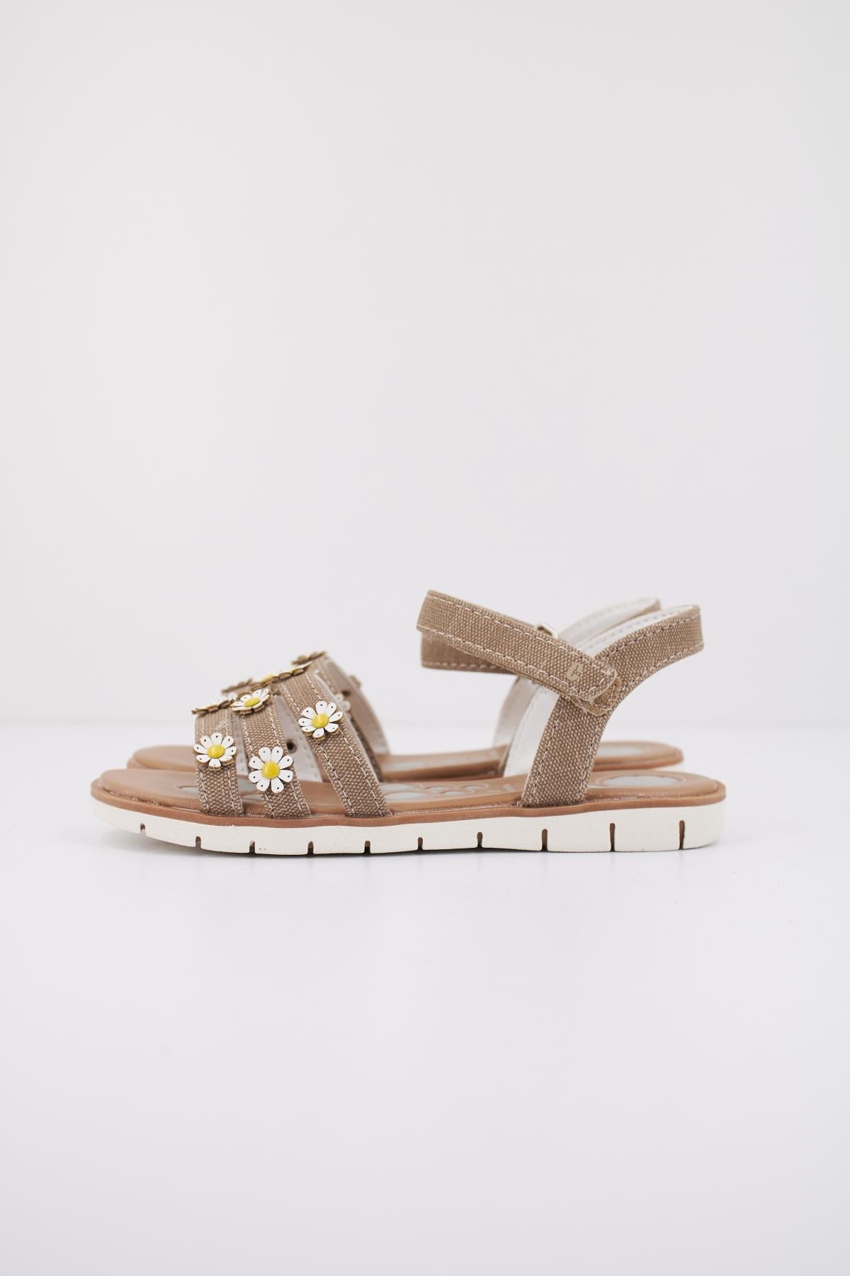 CHICCO CASEY en color MARRON  (1)