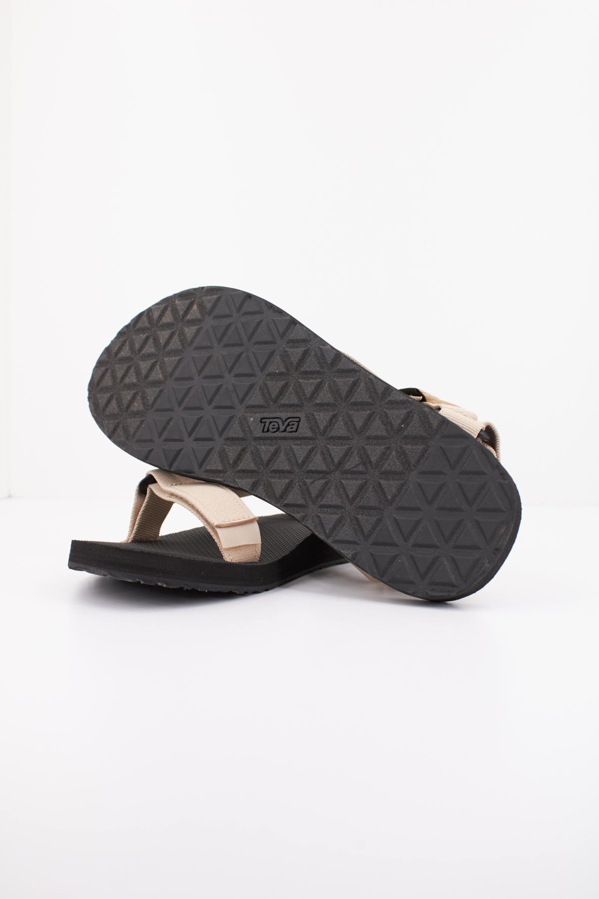 TEVA TV en color BEIS  (5)