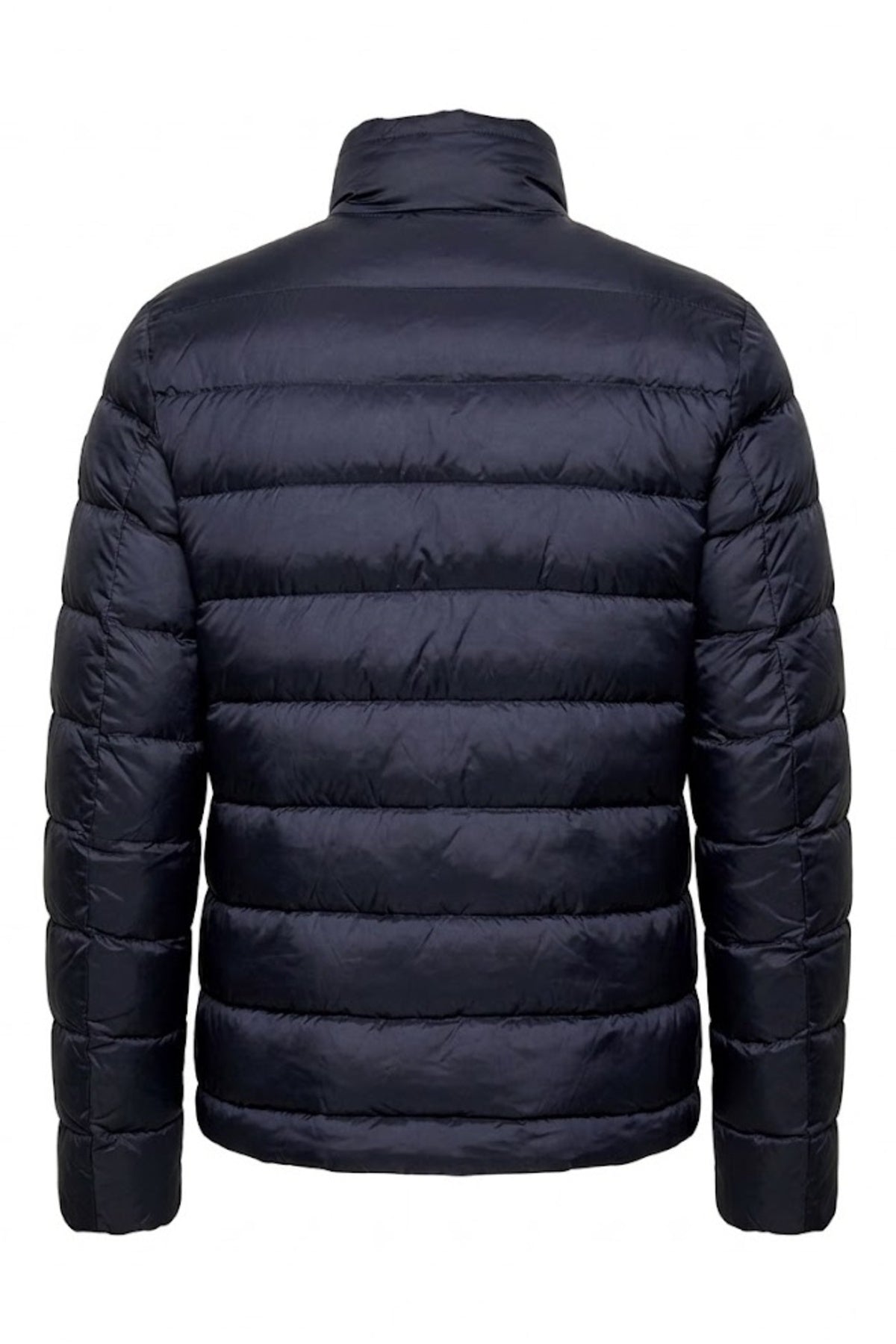 BLAUER AUSTIN en color AZUL  (2)