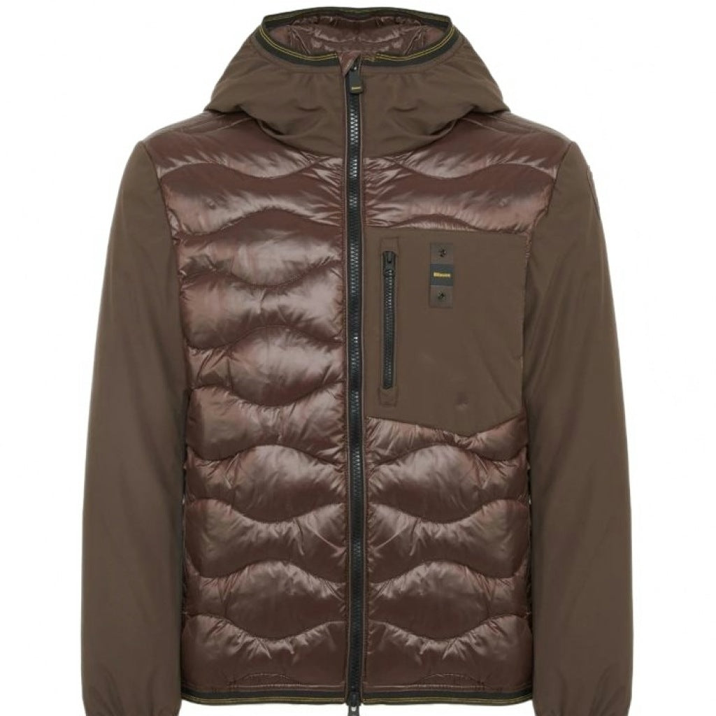 BLAUER ALBERT en color MARRON  (4)