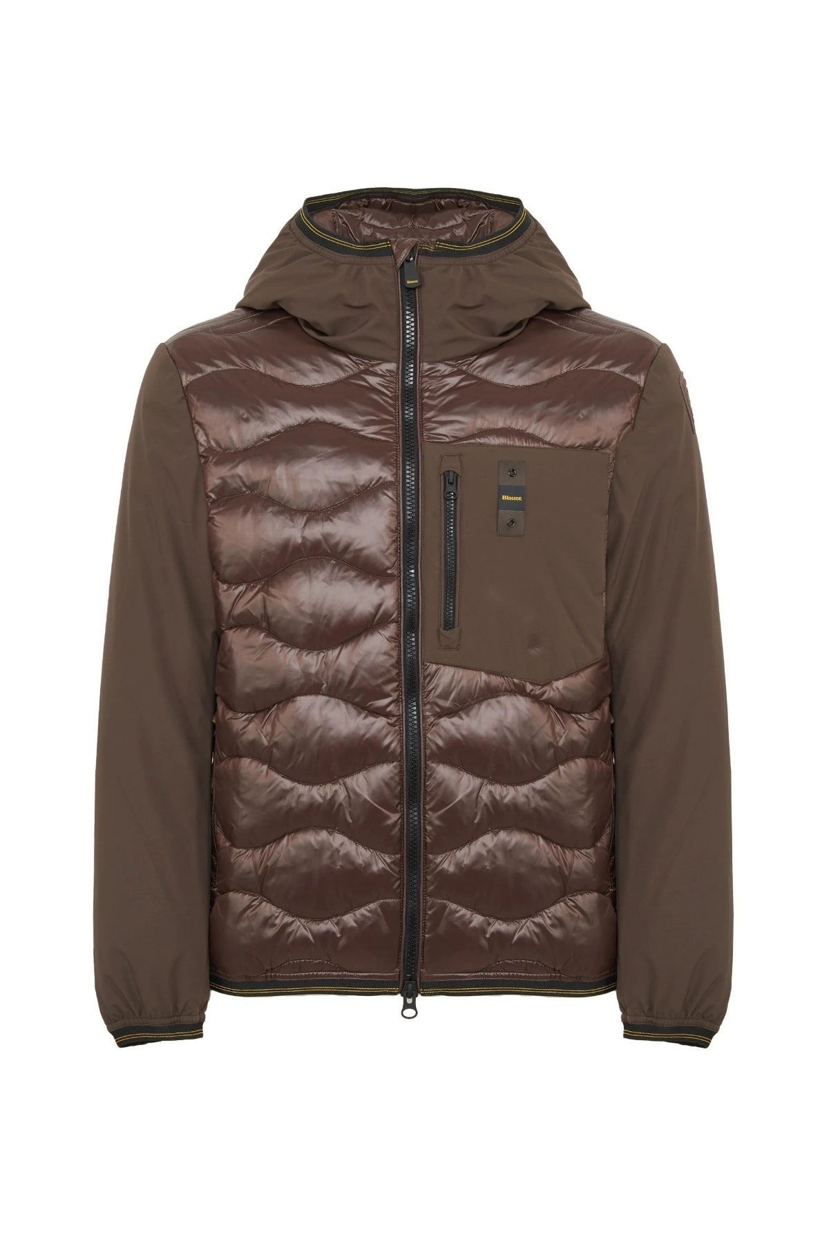 BLAUER ALBERT en color MARRON  (1)