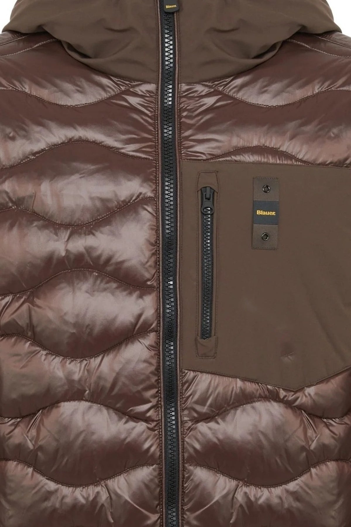 BLAUER ALBERT en color MARRON  (3)