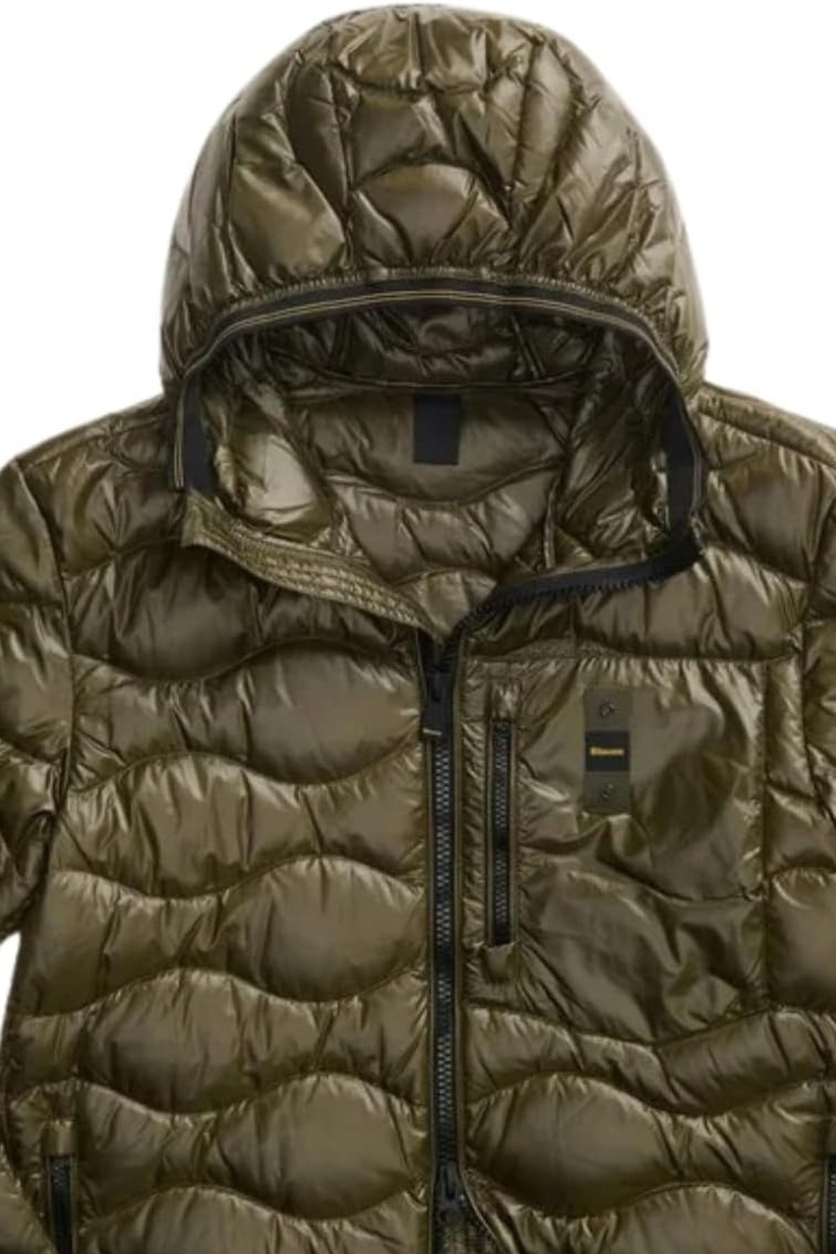 BLAUER ALBERT en color VERDE  (3)