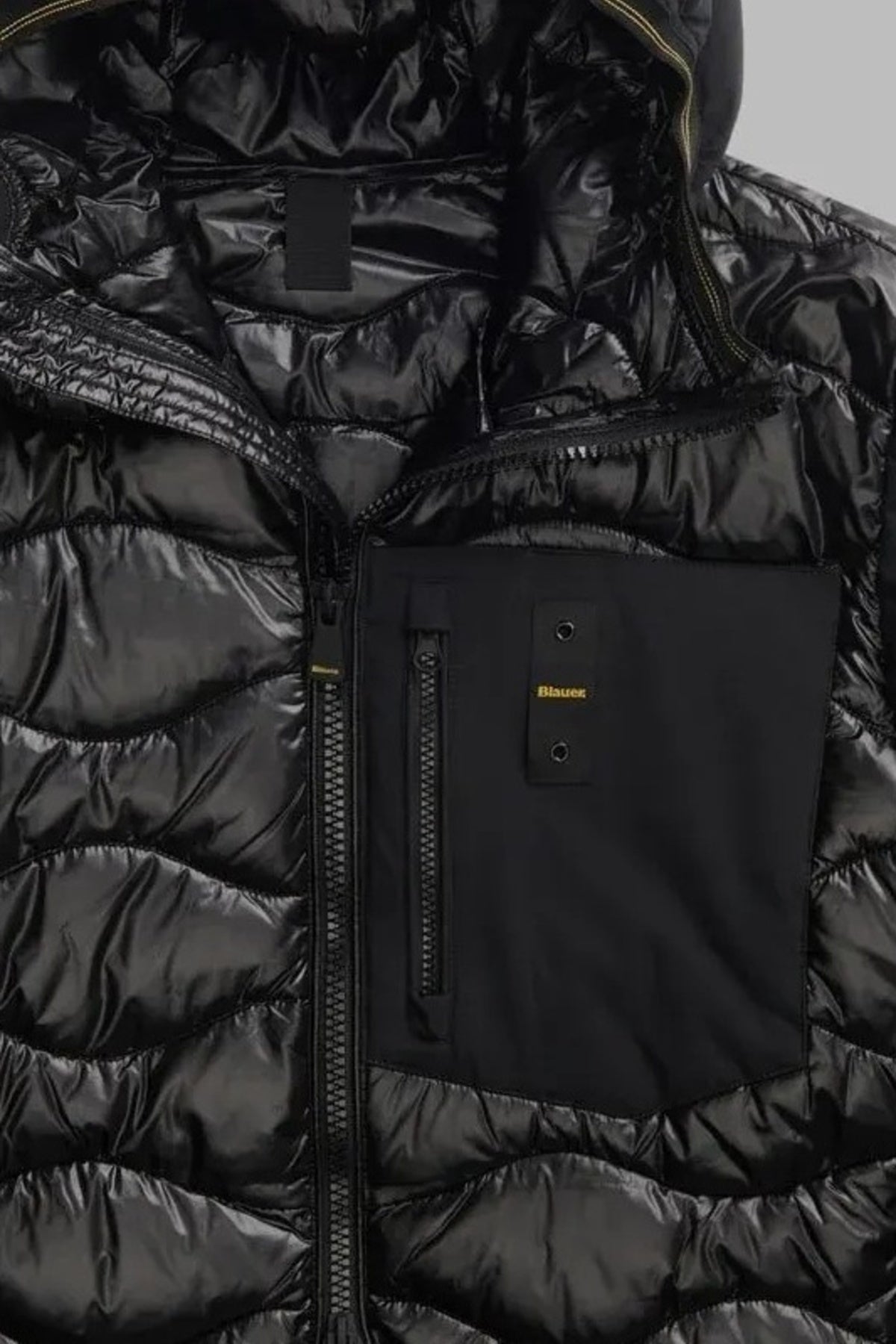 BLAUER ALBERT en color NEGRO  (3)
