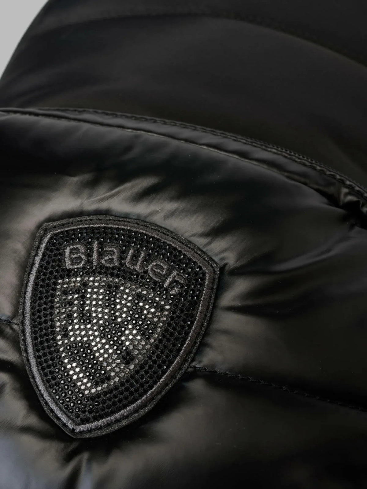 BLAUER POLYESTER NYLON BACKPACK PADDED en color   (2)
