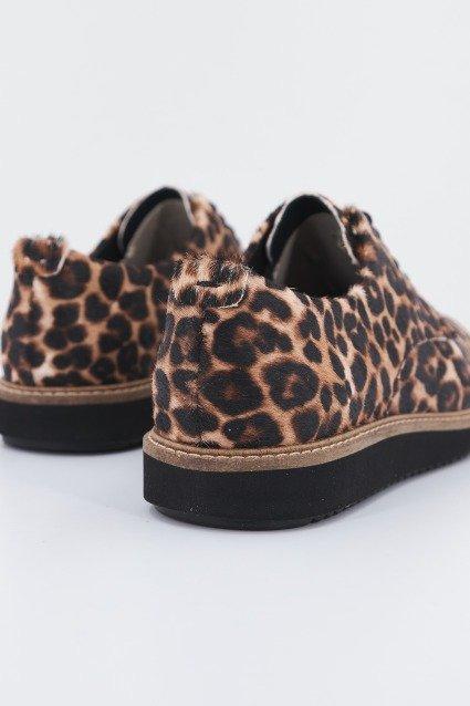 CLARKS GLICK DARBY en color ANIMAL PRINT  (3)
