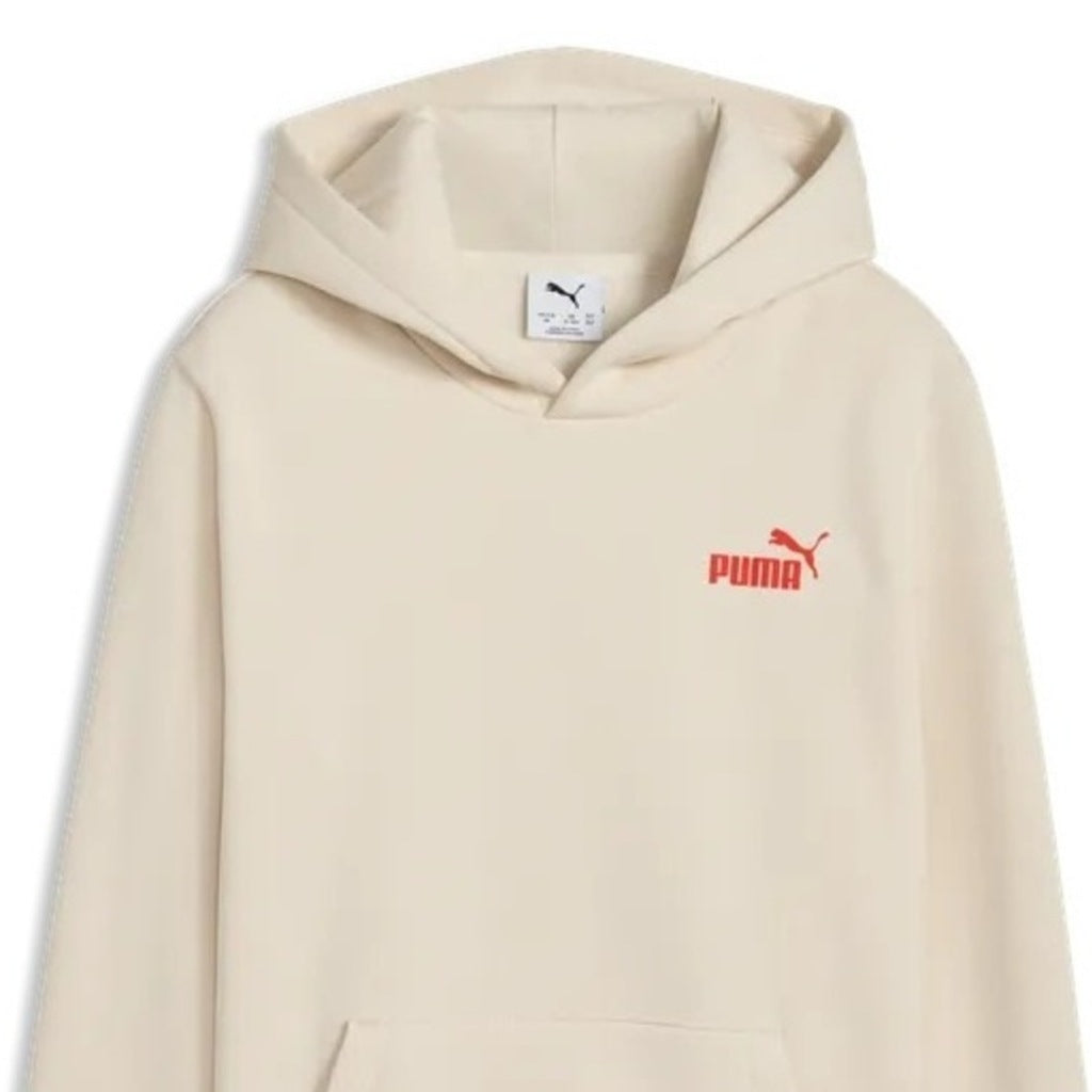 PUMA BRAND BACK GRAPHIC HOODIE FL B en color   (6)