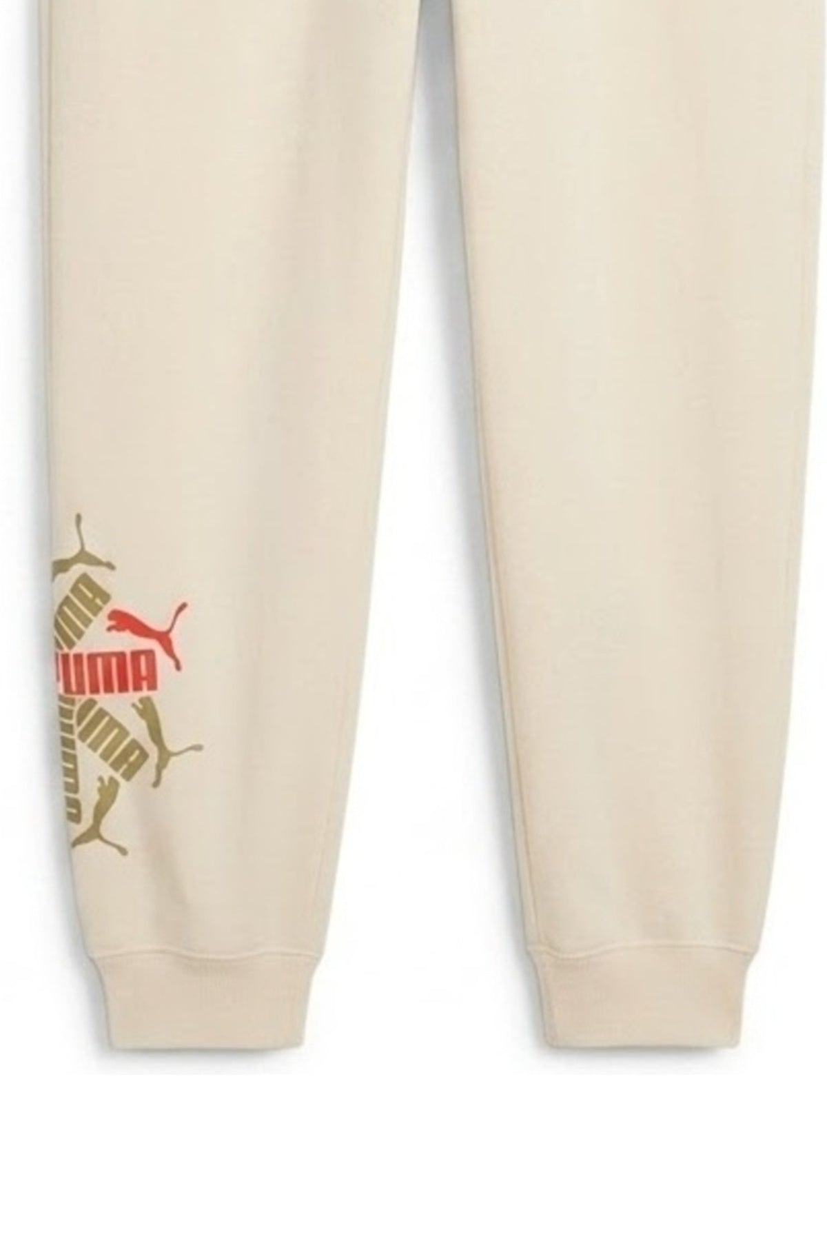 PUMA RAND SWEATPANTS FL B en color BEIS  (2)